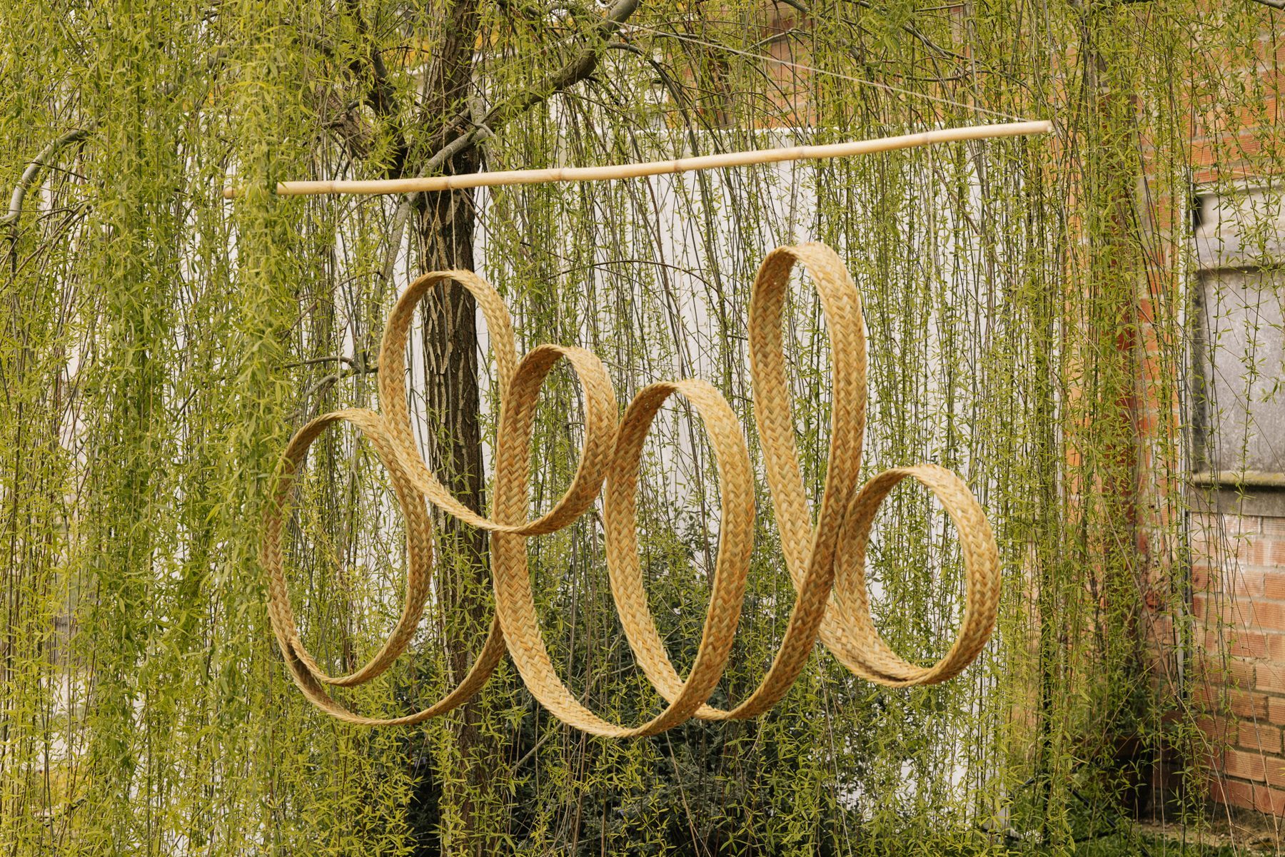 Braided esparto sculpture among willow trees