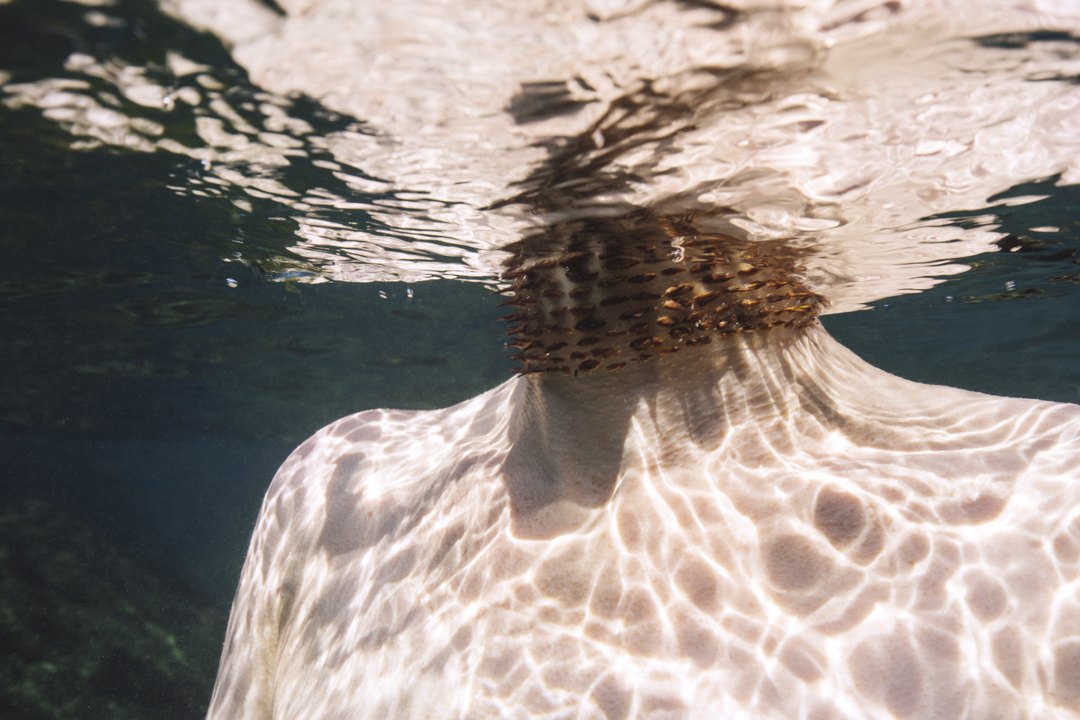 Desús, underwater shoulders