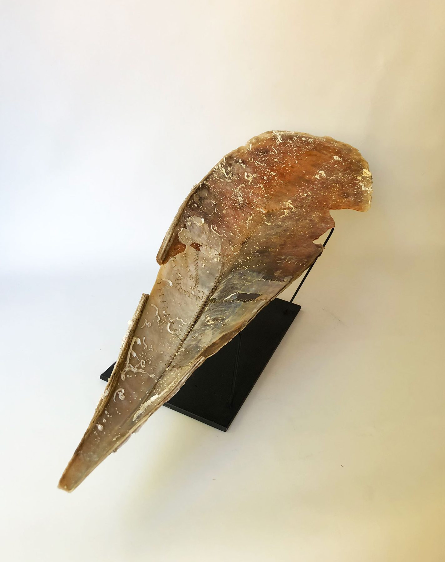 Long nacre heart, stitched nacre with brass wire