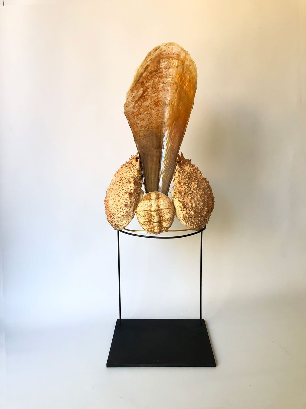 Nacre Crown with crab shells on a stand, Aloma Lafontana