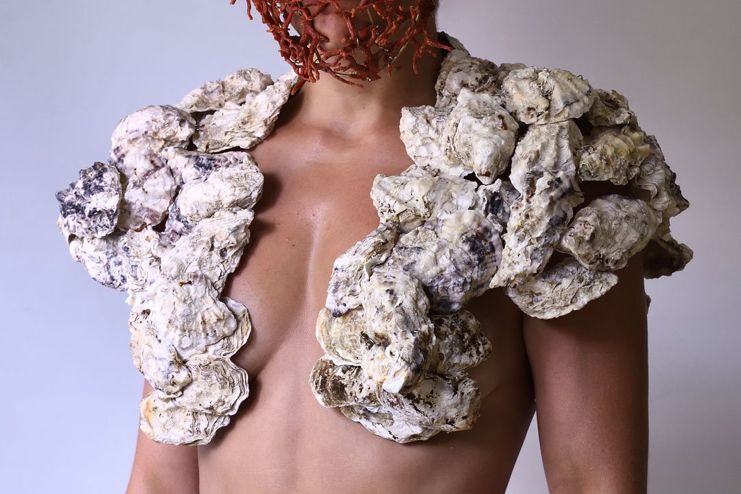 Resilient sea, oyster shoulders